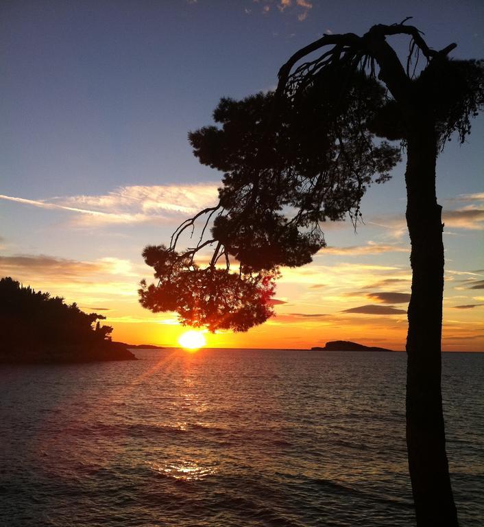 Epidaurum Apartments Cavtat Quarto foto